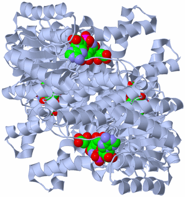 Image Biological Unit 1