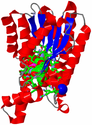 Image Asym. Unit - sites