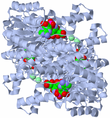 Image Biological Unit 1