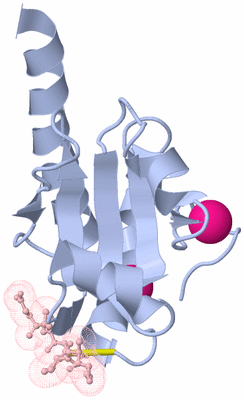 Image Biological Unit 1