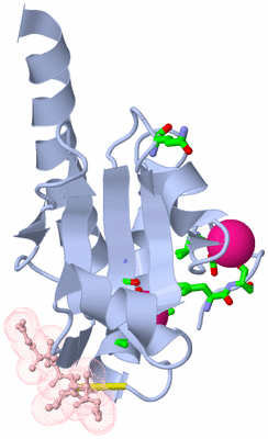 Image Biol. Unit 1 - sites