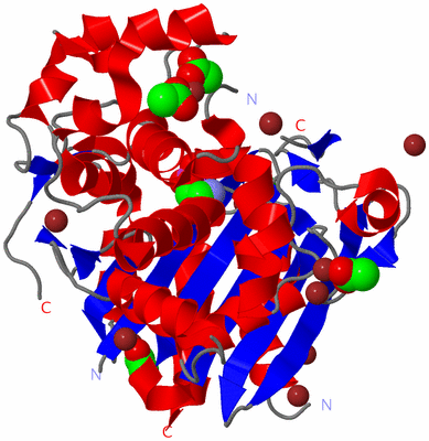 Image Asym./Biol. Unit