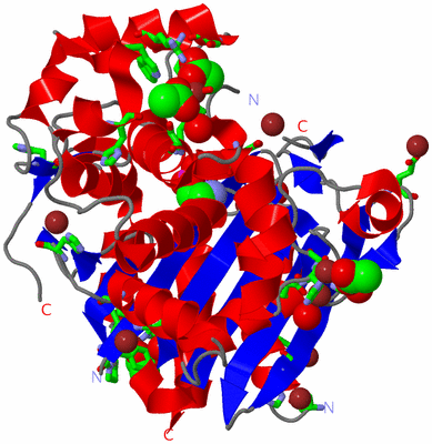 Image Asym./Biol. Unit - sites