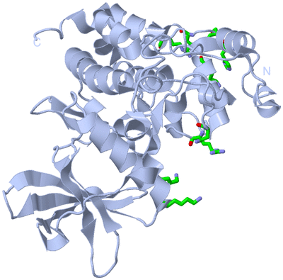 Image Biol. Unit 1 - sites