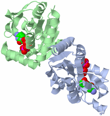 Image Asym./Biol. Unit