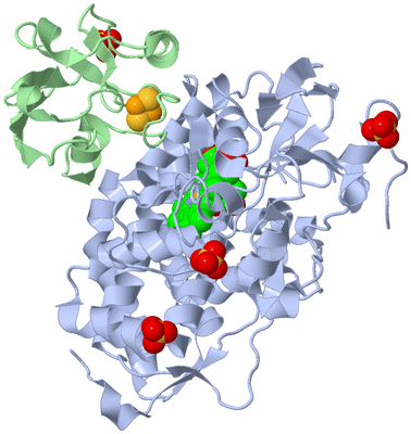 Image Asym./Biol. Unit