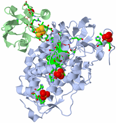 Image Asym./Biol. Unit - sites