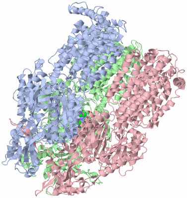 Image Asym./Biol. Unit - sites