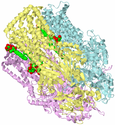 Image Biological Unit 2