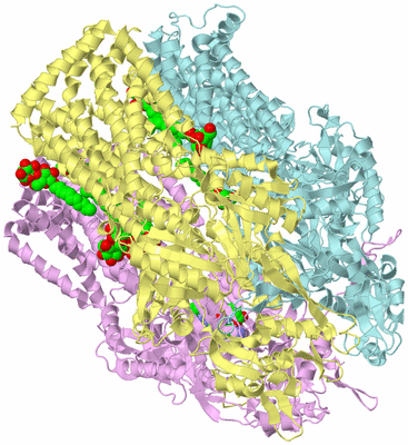 Image Biological Unit 2