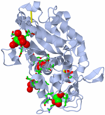 Image Biol. Unit 1 - sites