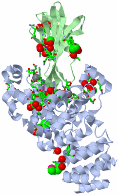 Image Asym./Biol. Unit - sites