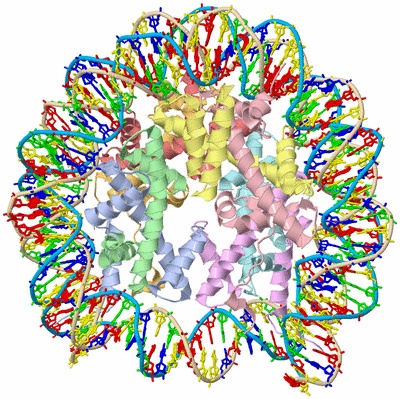 Image Asym./Biol. Unit