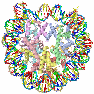 Image Asym./Biol. Unit