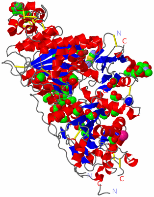 Image Asym./Biol. Unit