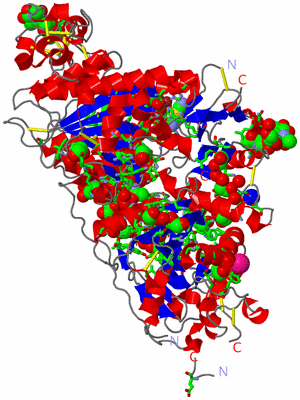 Image Asym./Biol. Unit - sites