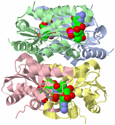 Image Asym./Biol. Unit