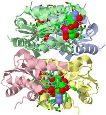 Image Asym./Biol. Unit - sites