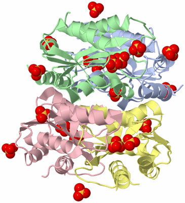 Image Asym./Biol. Unit