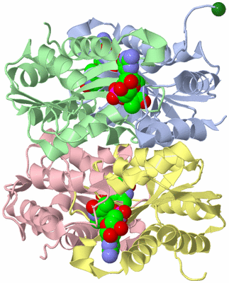 Image Asym./Biol. Unit
