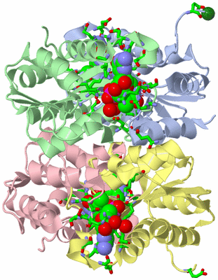 Image Asym./Biol. Unit - sites