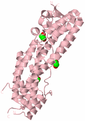 Image Biological Unit 3