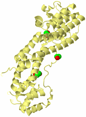 Image Biological Unit 4