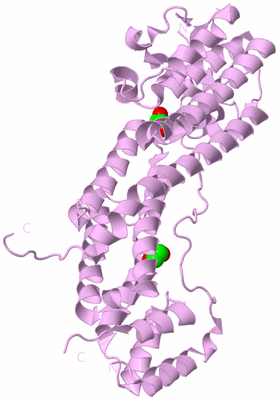 Image Biological Unit 5