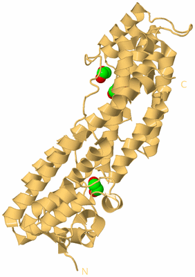 Image Biological Unit 7