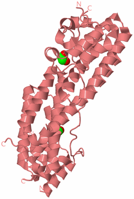 Image Biological Unit 8