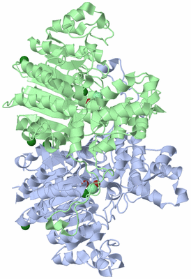 Image Asym./Biol. Unit