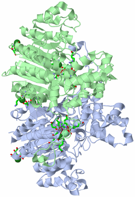 Image Asym./Biol. Unit - sites