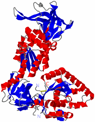 Image Asym./Biol. Unit