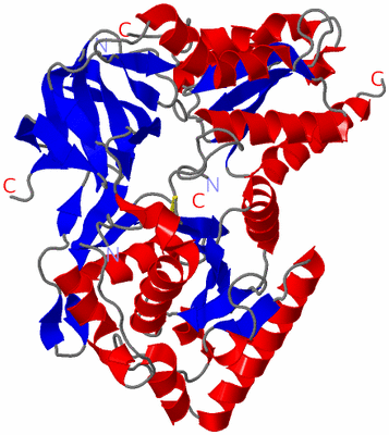 Image Asym./Biol. Unit