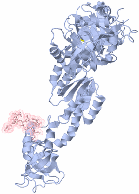 Image Biological Unit 1