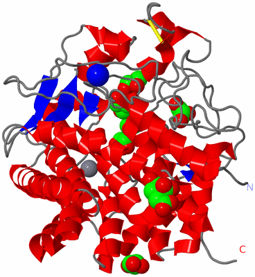 Image Asym./Biol. Unit