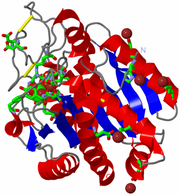 Image Asym./Biol. Unit - sites