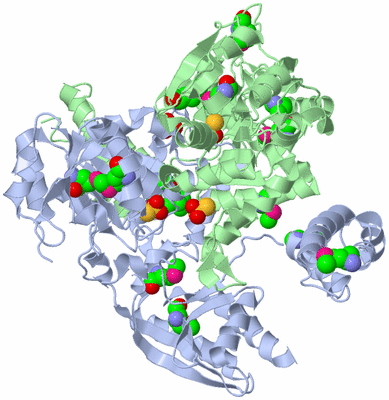 Image Asym./Biol. Unit