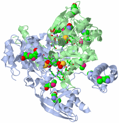 Image Asym./Biol. Unit - sites