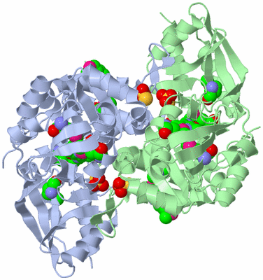 Image Asym./Biol. Unit