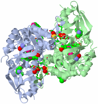 Image Asym./Biol. Unit - sites