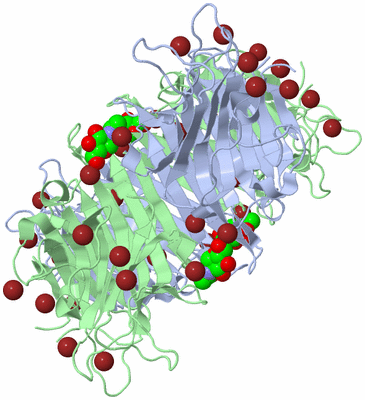 Image Biological Unit 1