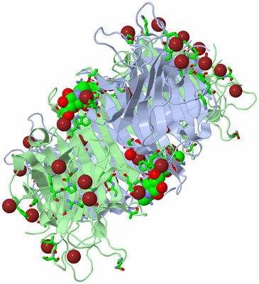 Image Biol. Unit 1 - sites