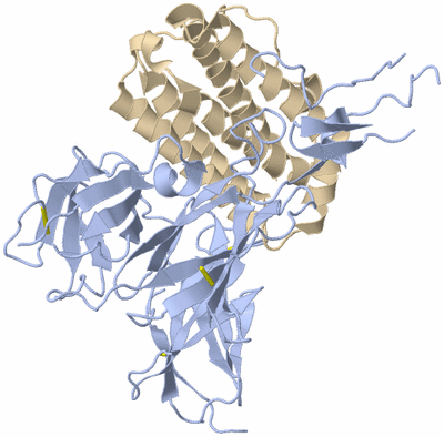 Image Asym./Biol. Unit