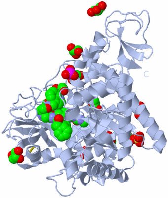 Image Biological Unit 1