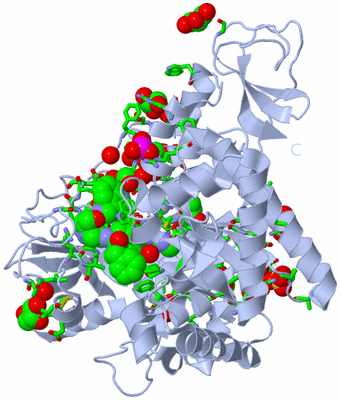 Image Biol. Unit 1 - sites