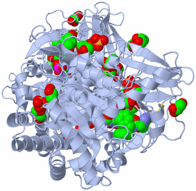 Image Biological Unit 2