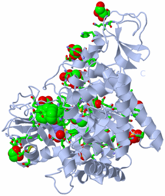 Image Biol. Unit 1 - sites