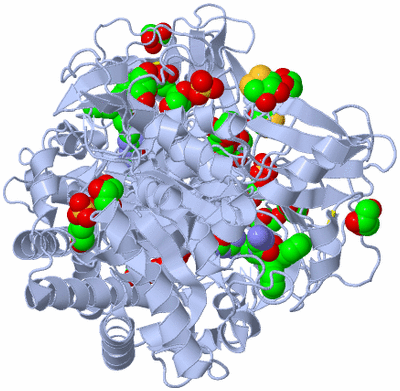 Image Biological Unit 2