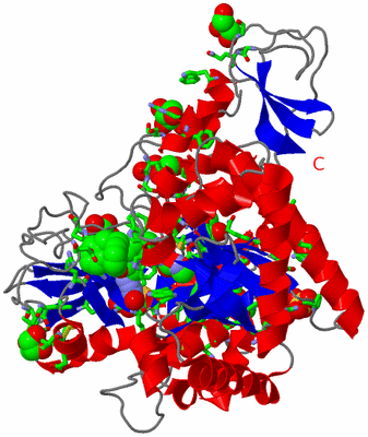 Image Asym. Unit - sites